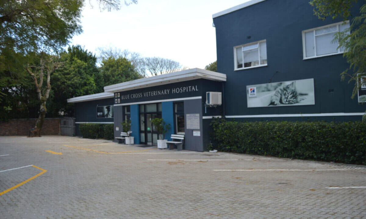Blue Cross Veterinary Hospital