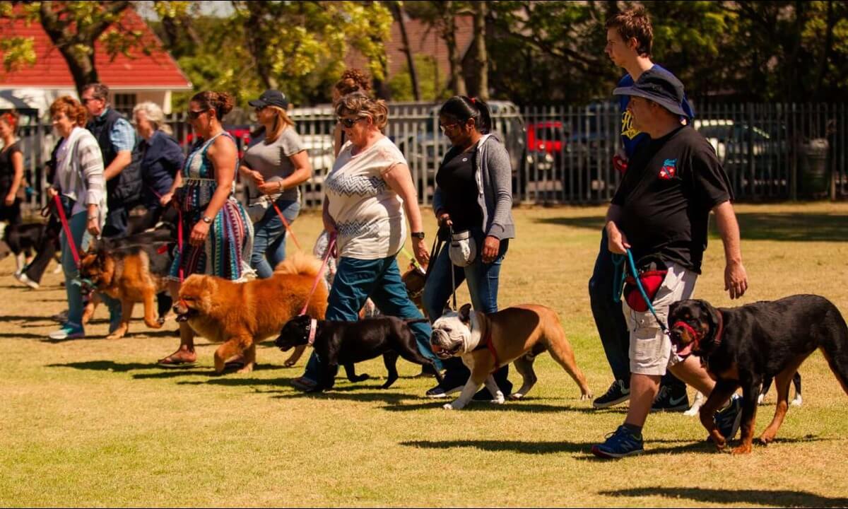Cape Province Dog Club